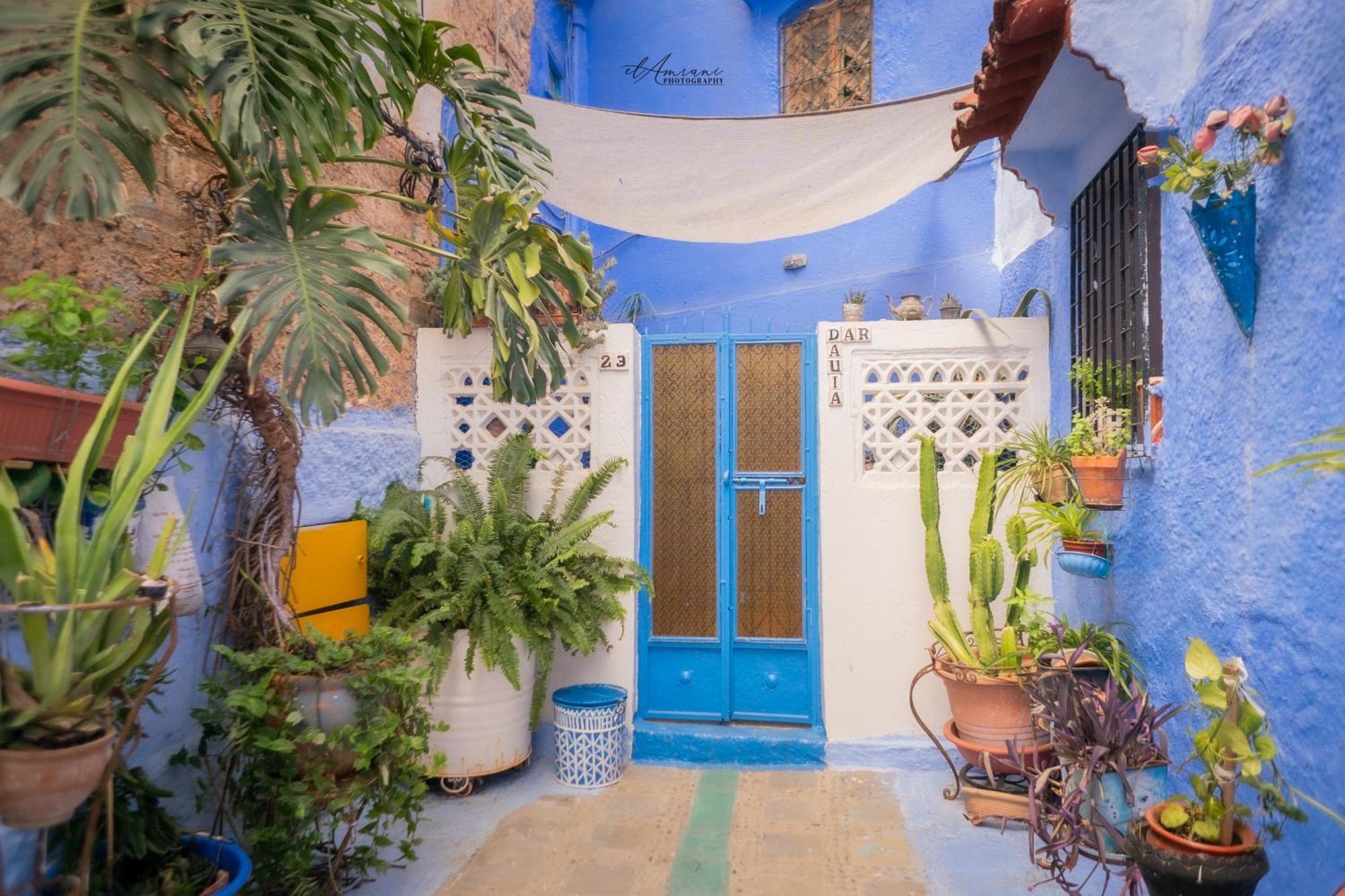 Dar Dauia * Chefchaouen