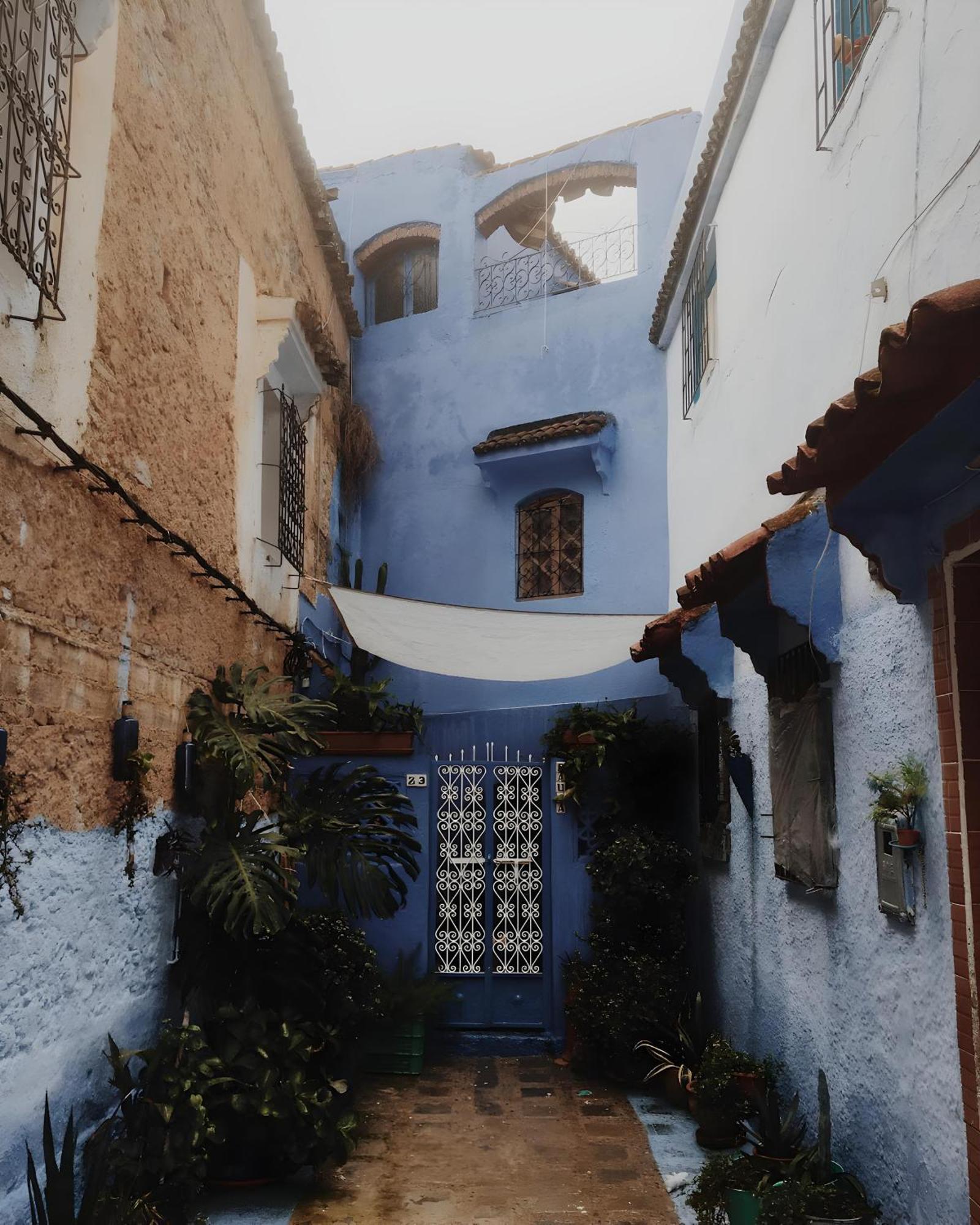 Dar Dauia